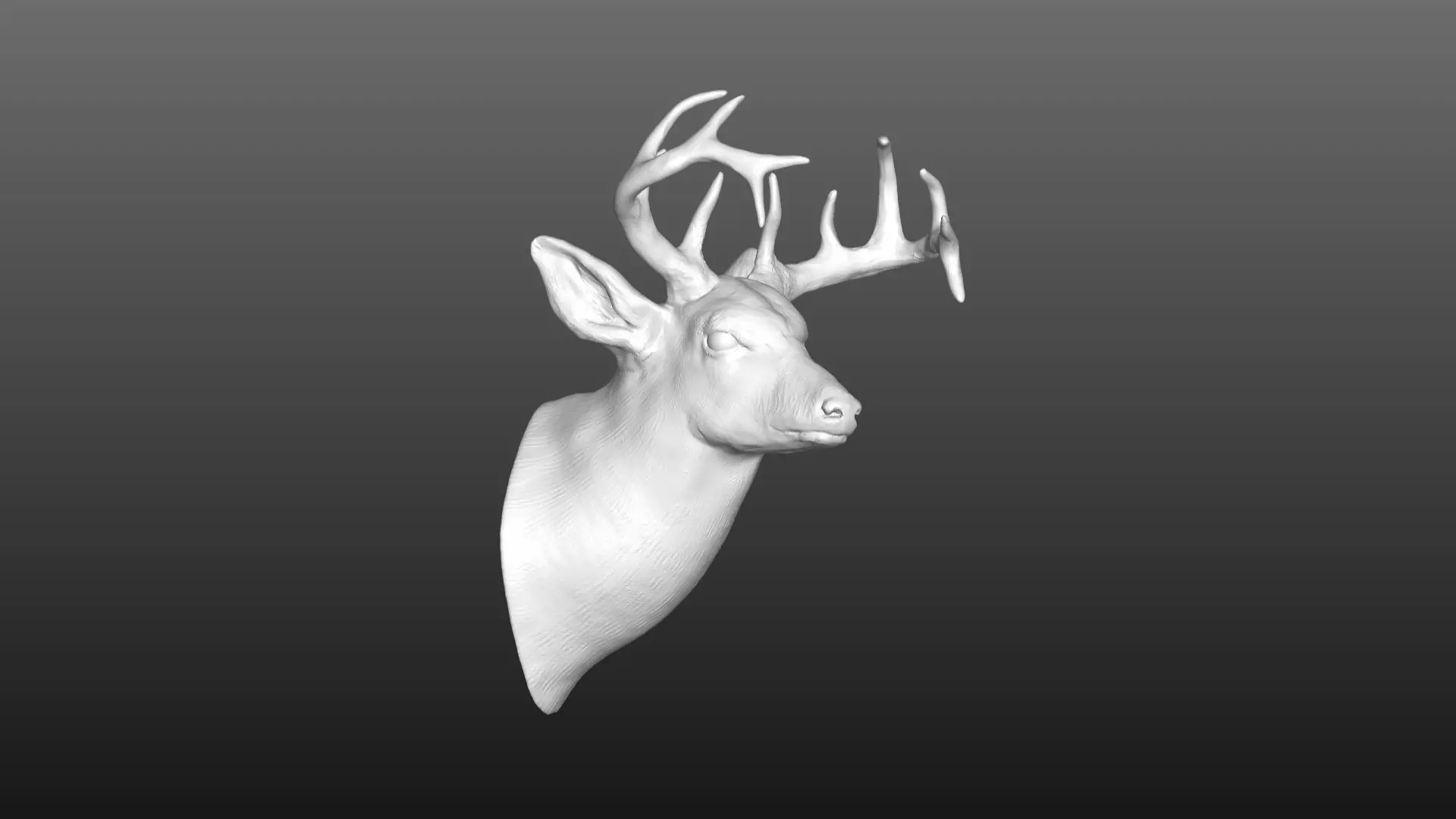 deer head 3D model_0