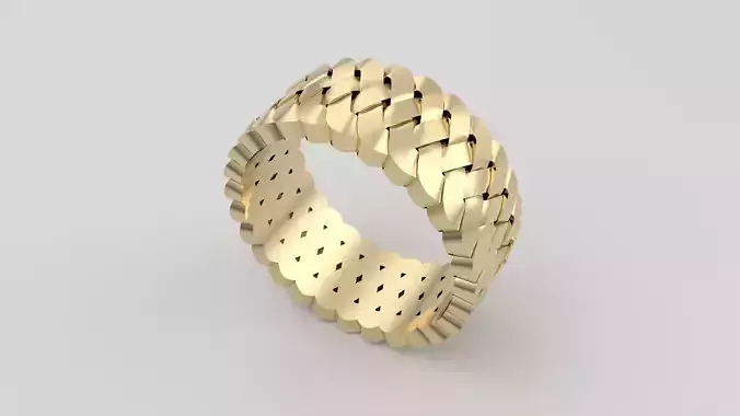 Intricate Braided Ring JDBCo 3D print model