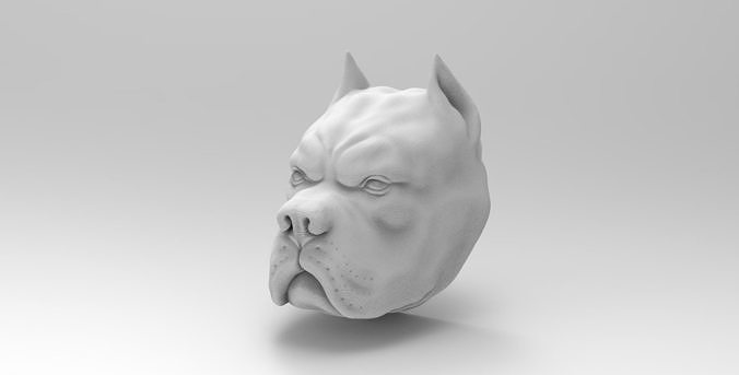pitbull head 3D model