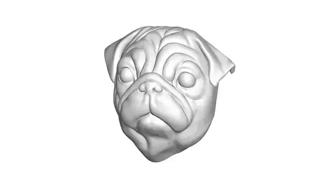 Pug head