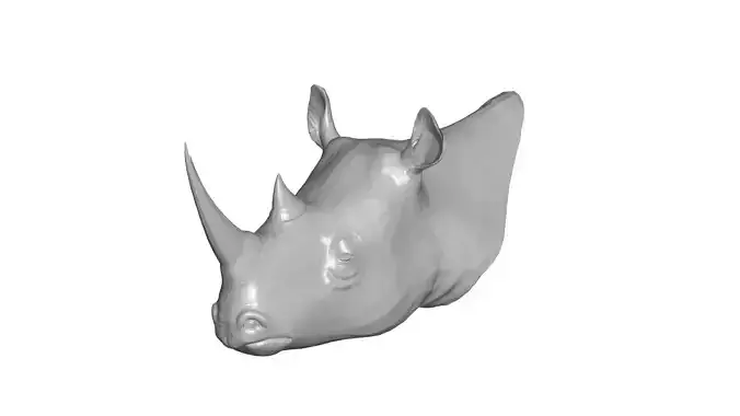 Rhino head