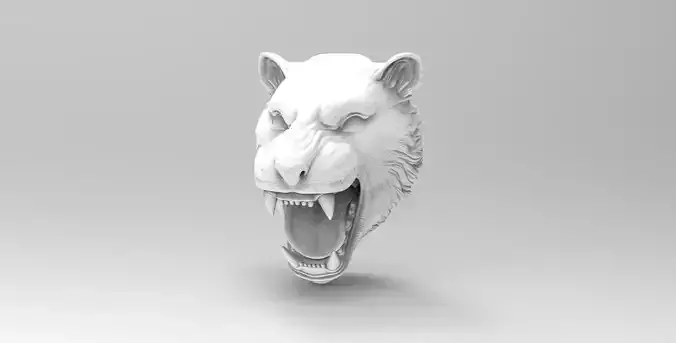 Tiger head