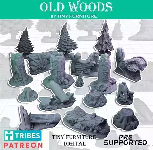 Old Woods
