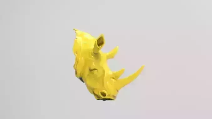 rhino head