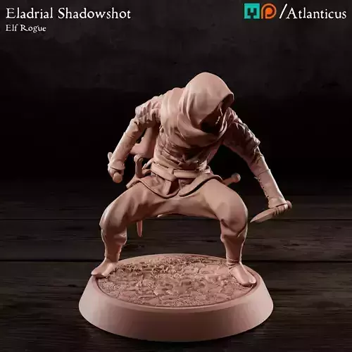 Male Elf Rogue - Eladrial Shadowshot - Daggers 3D print model