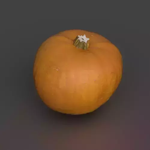 Photorealistic Medium Pumpkin