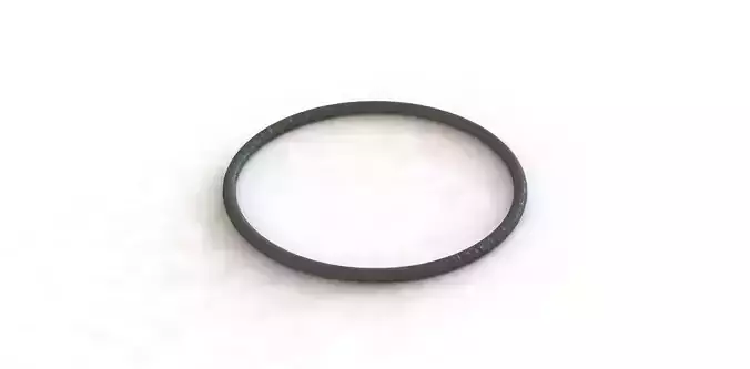 O Ring Vedabras 12157 3D model