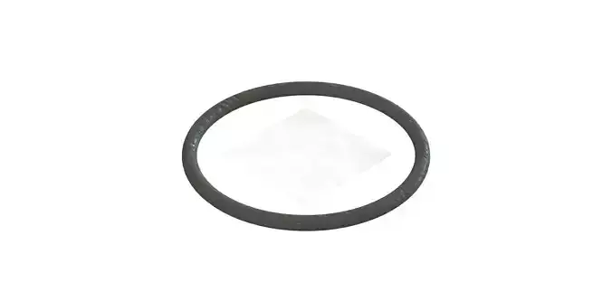 O Ring Vedabras 12156 3D model