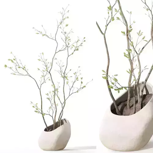 Plants collection 1115 3D model