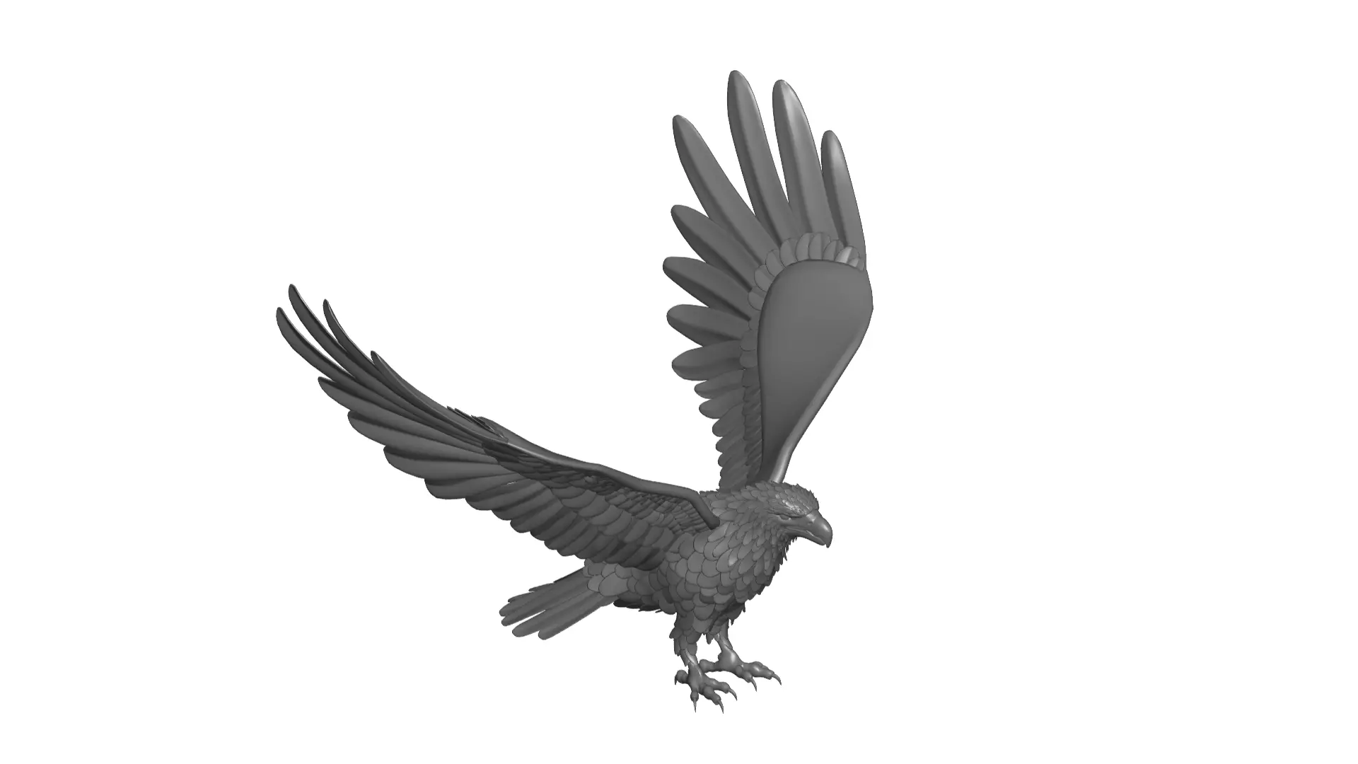 Eagle 3D model
