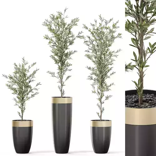 Plants collection 1116 3D model