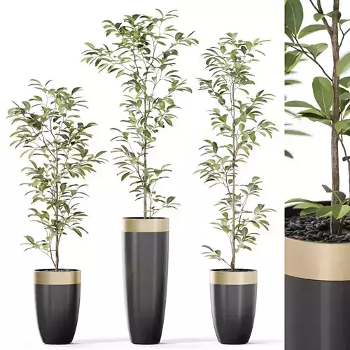 Plants collection 1117 3D model