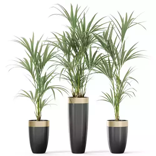 Plants collection 1118 3D model