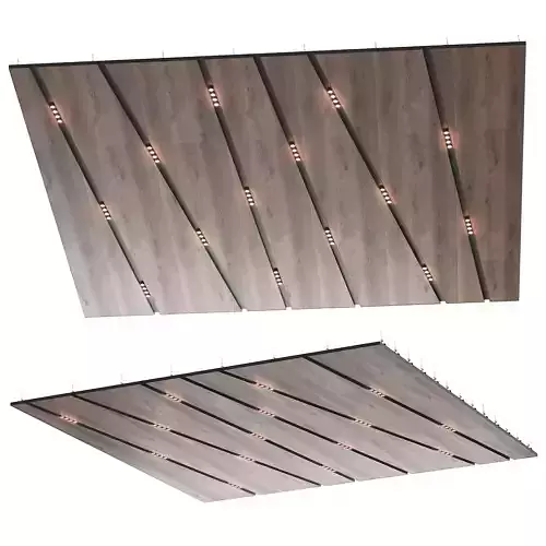 Wooden suspended ceiling with lighting 51 3D model
