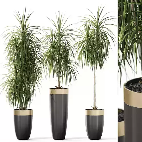 Plants collection 1119 3D model