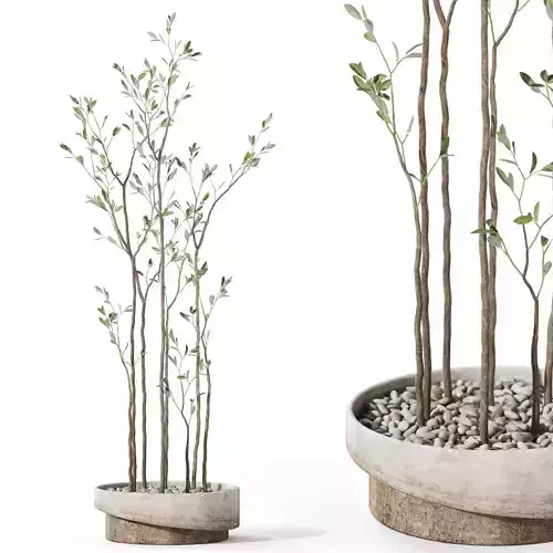Plants collection 1123 3D model