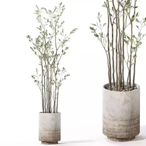 Plants collection 1124 3D model