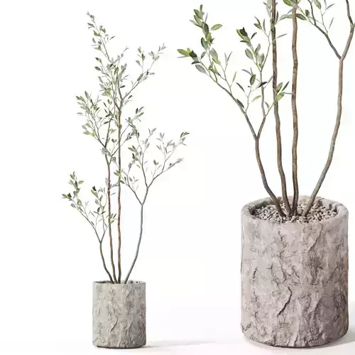 Plants collection 1125 3D model