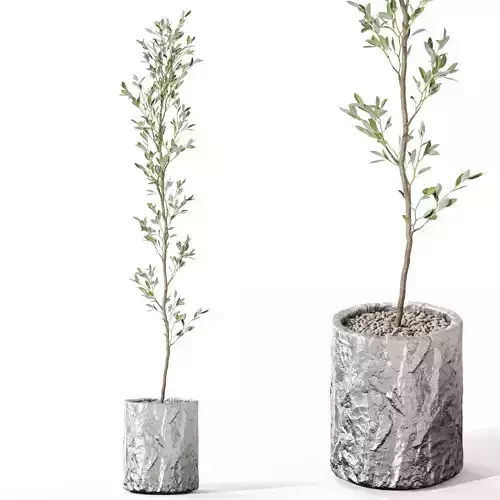 Plants collection 1126 3D model