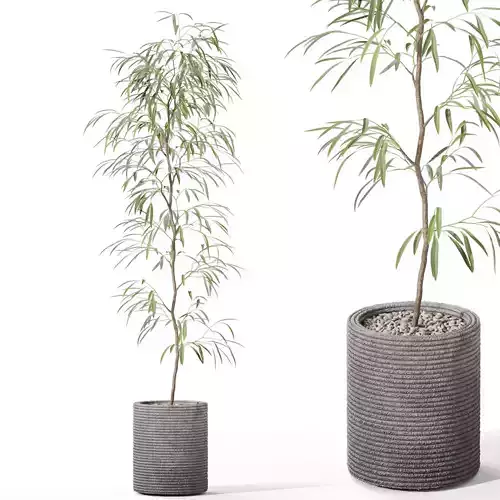 Plants collection 1127 3D model