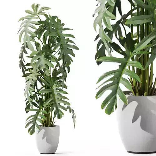 Plants collection 1132 3D model