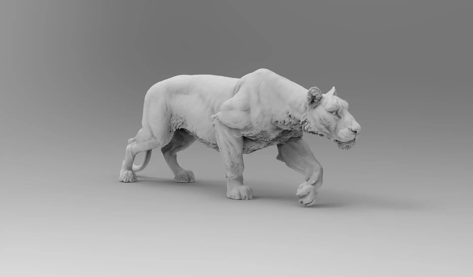 Lion - 3D model_0