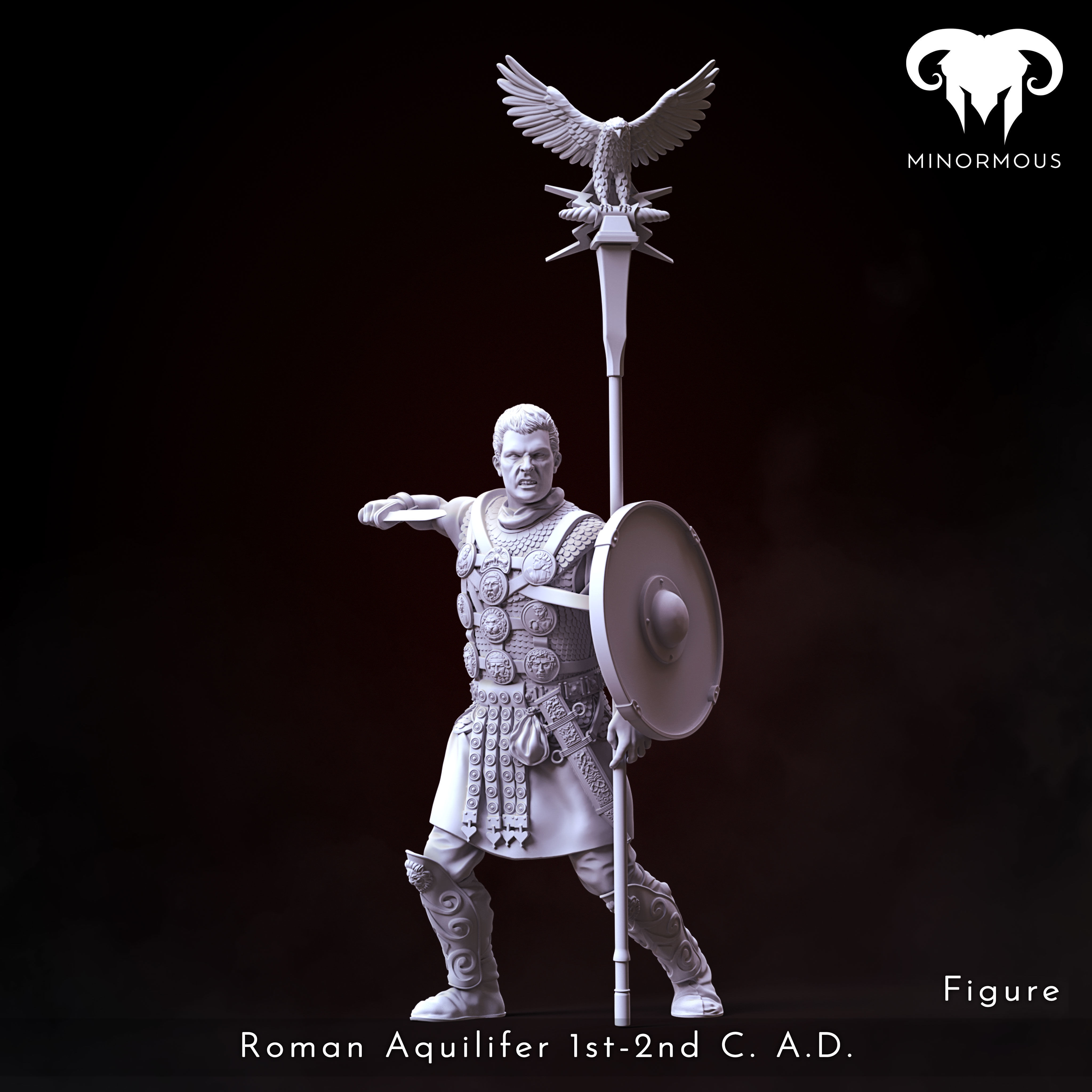 Bundle - Roman Aquilifer 1st-2nd CAD The last Stand 3D print model_16