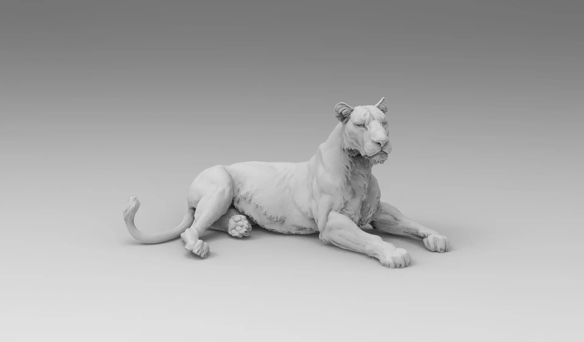 Lion - 3D model_0