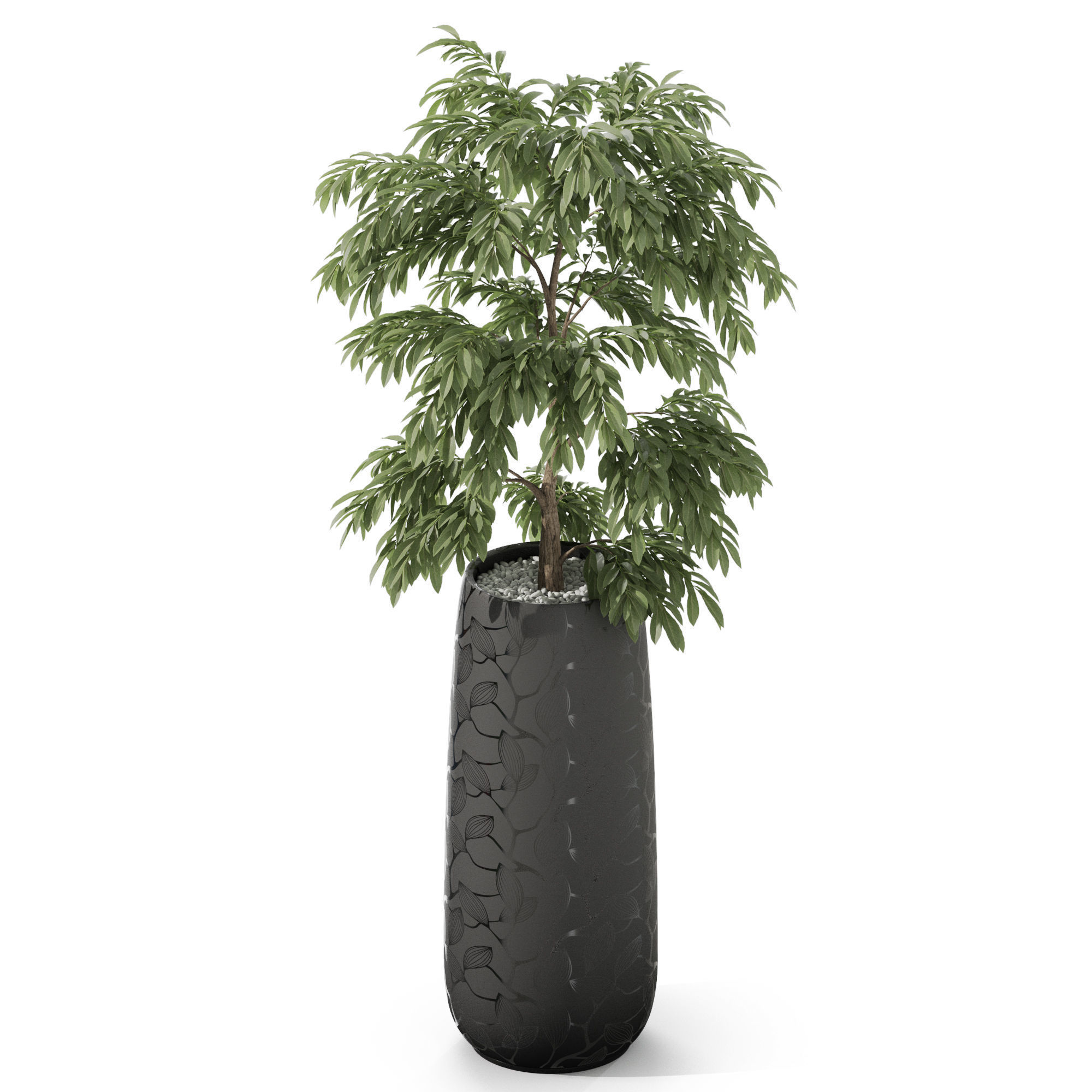 Plants collection 1159 3D model_3