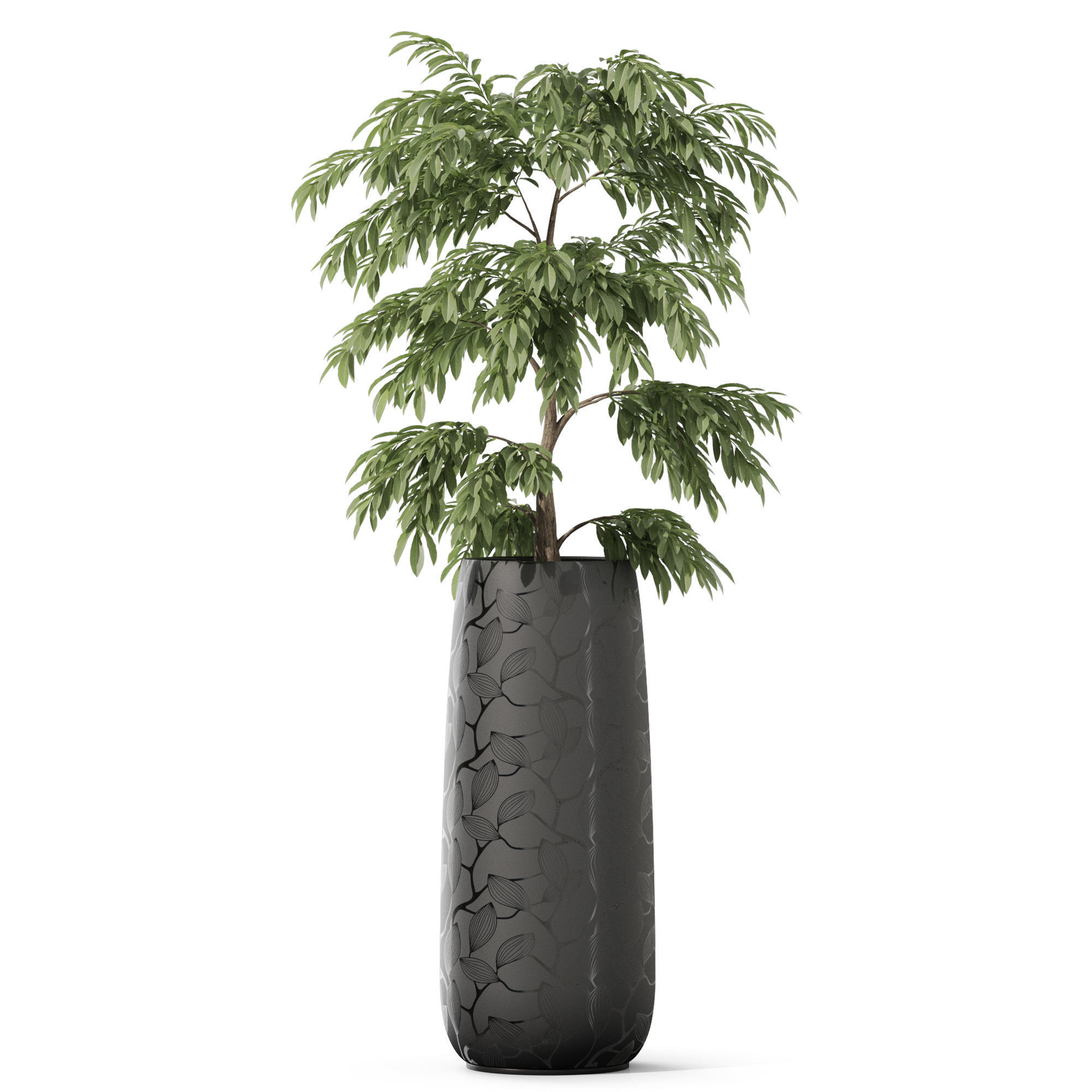 Plants collection 1159 3D model_1