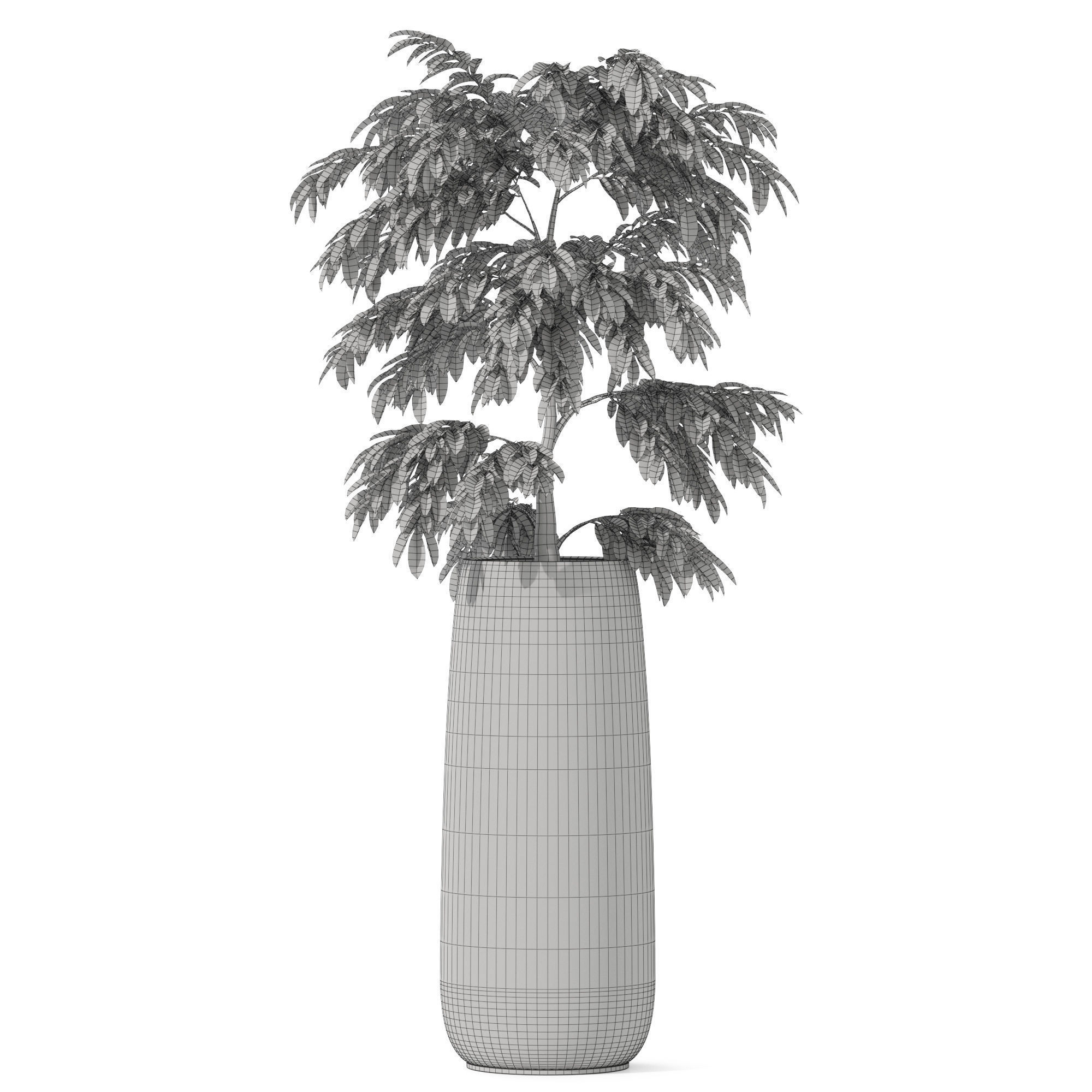 Plants collection 1159 3D model_4