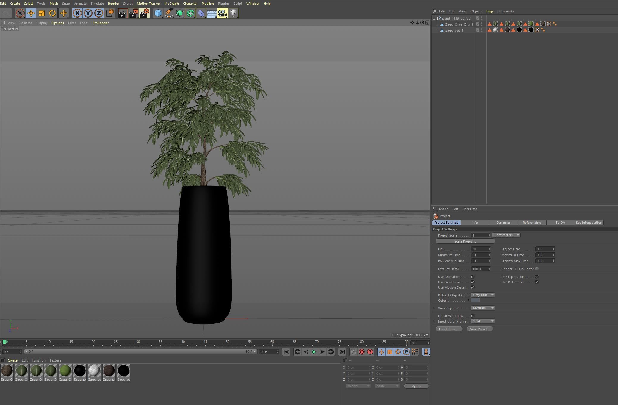 Plants collection 1159 3D model_7