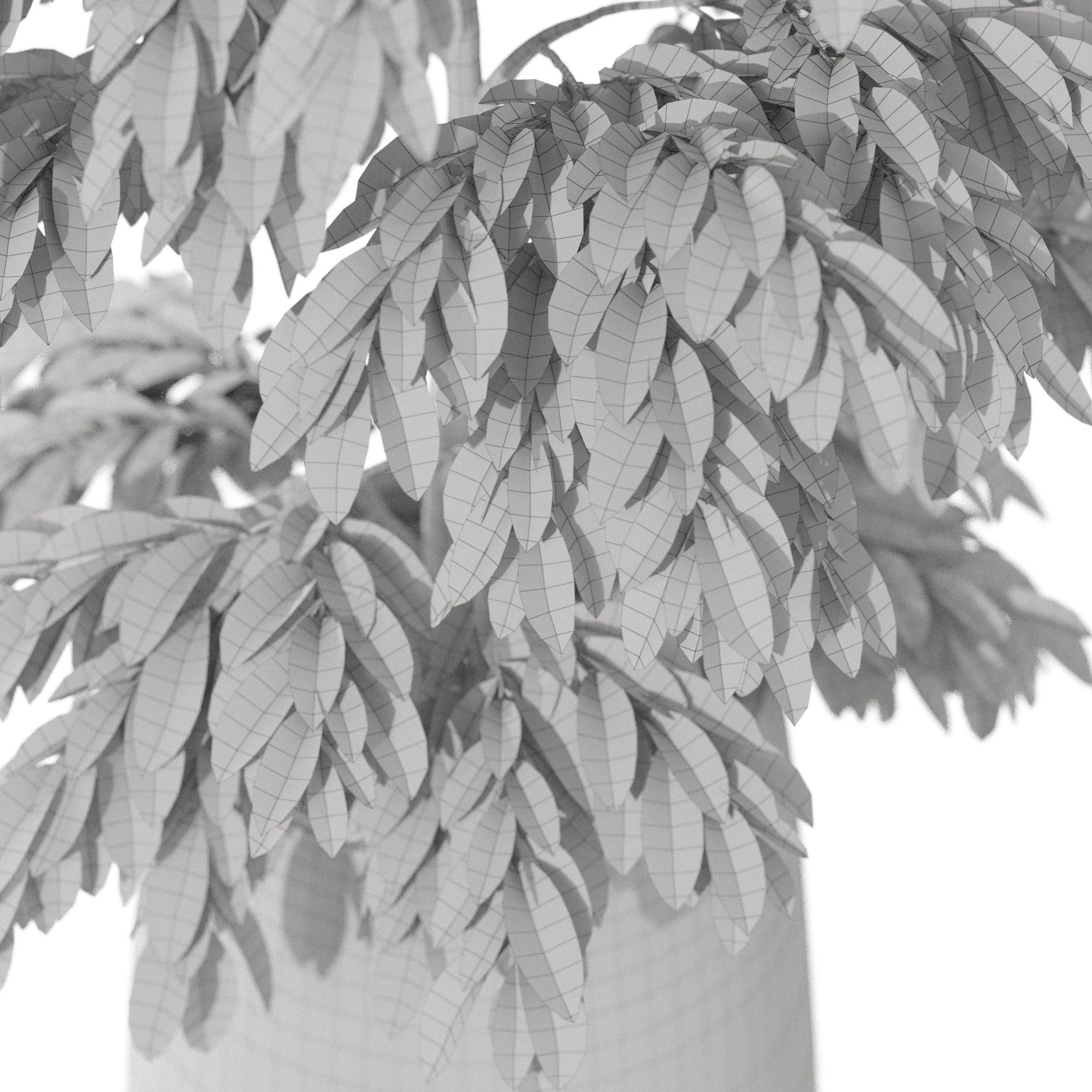 Plants collection 1159 3D model_5