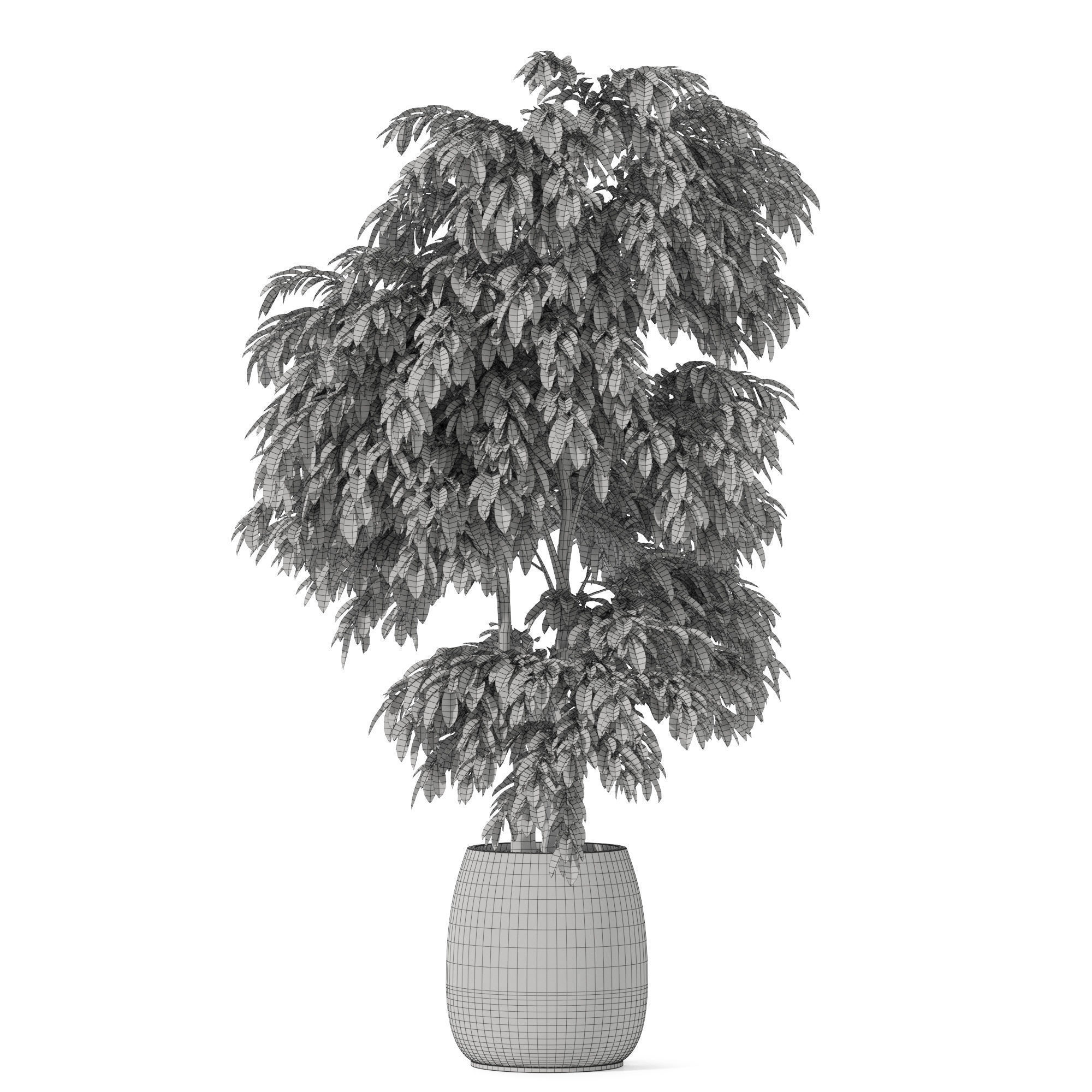 Plants collection 1160 3D model_4