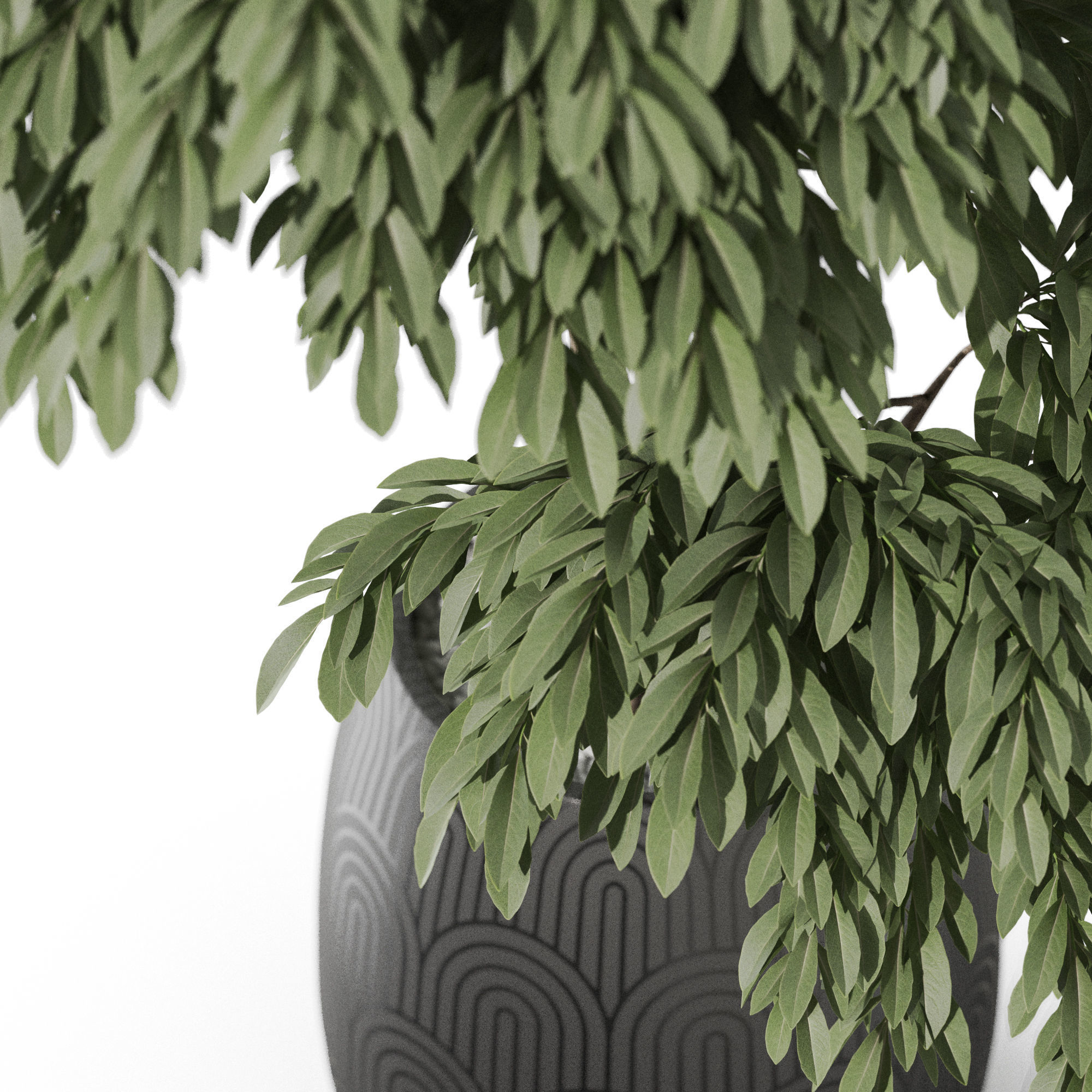 Plants collection 1160 3D model_2