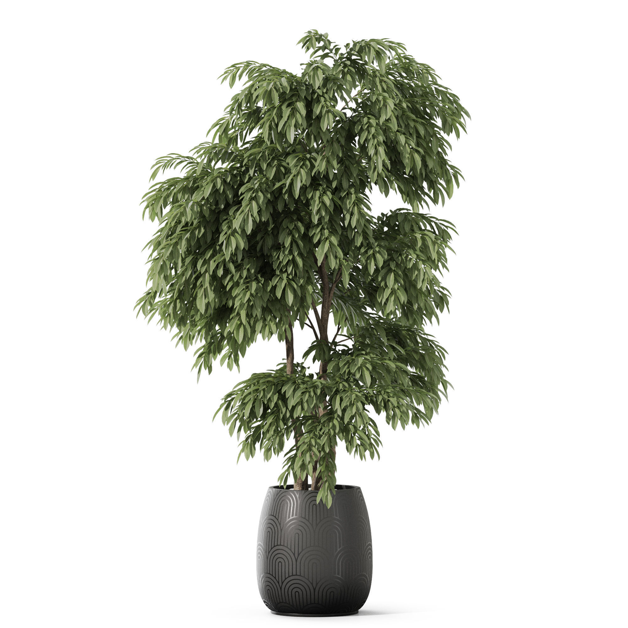 Plants collection 1160 3D model_1