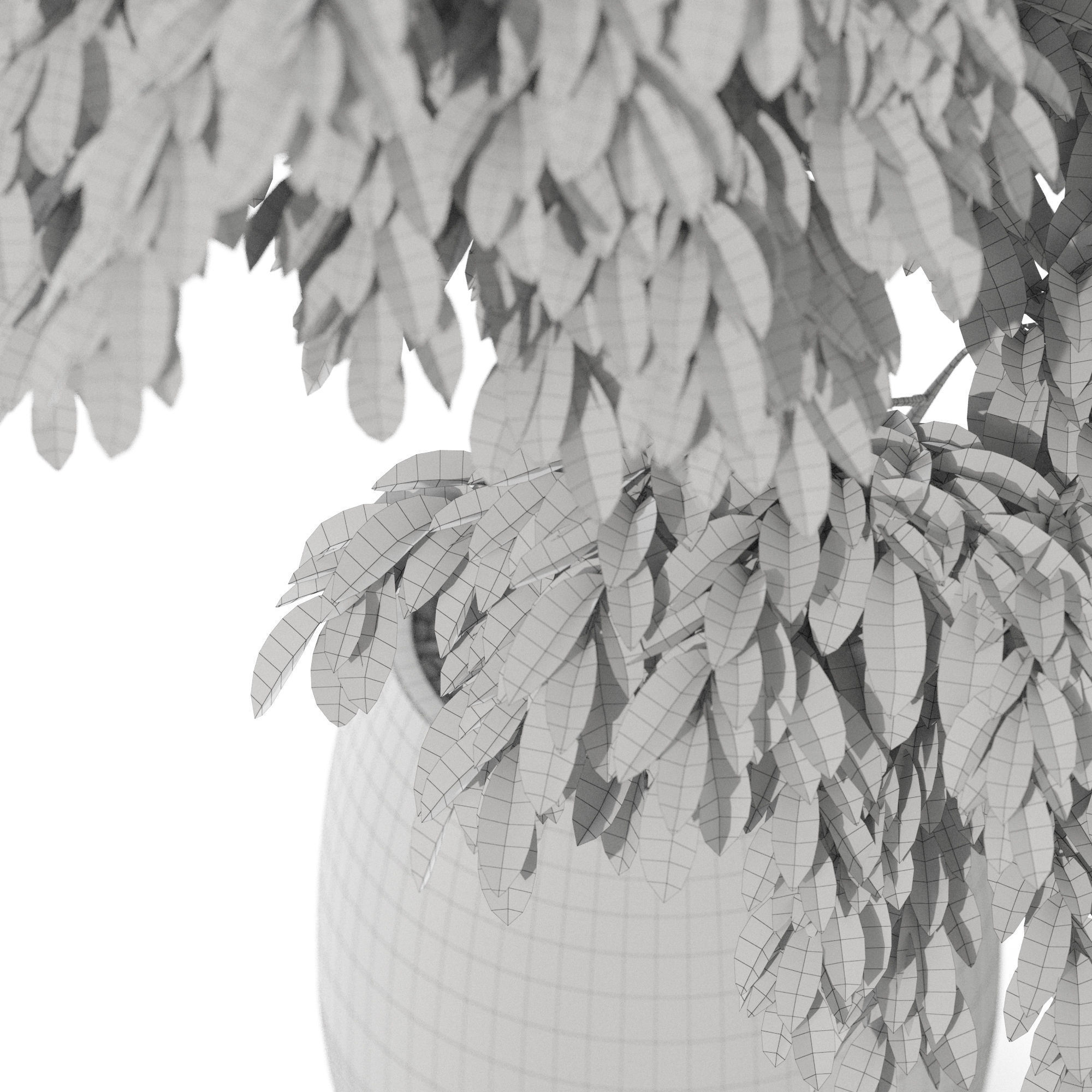 Plants collection 1160 3D model_5