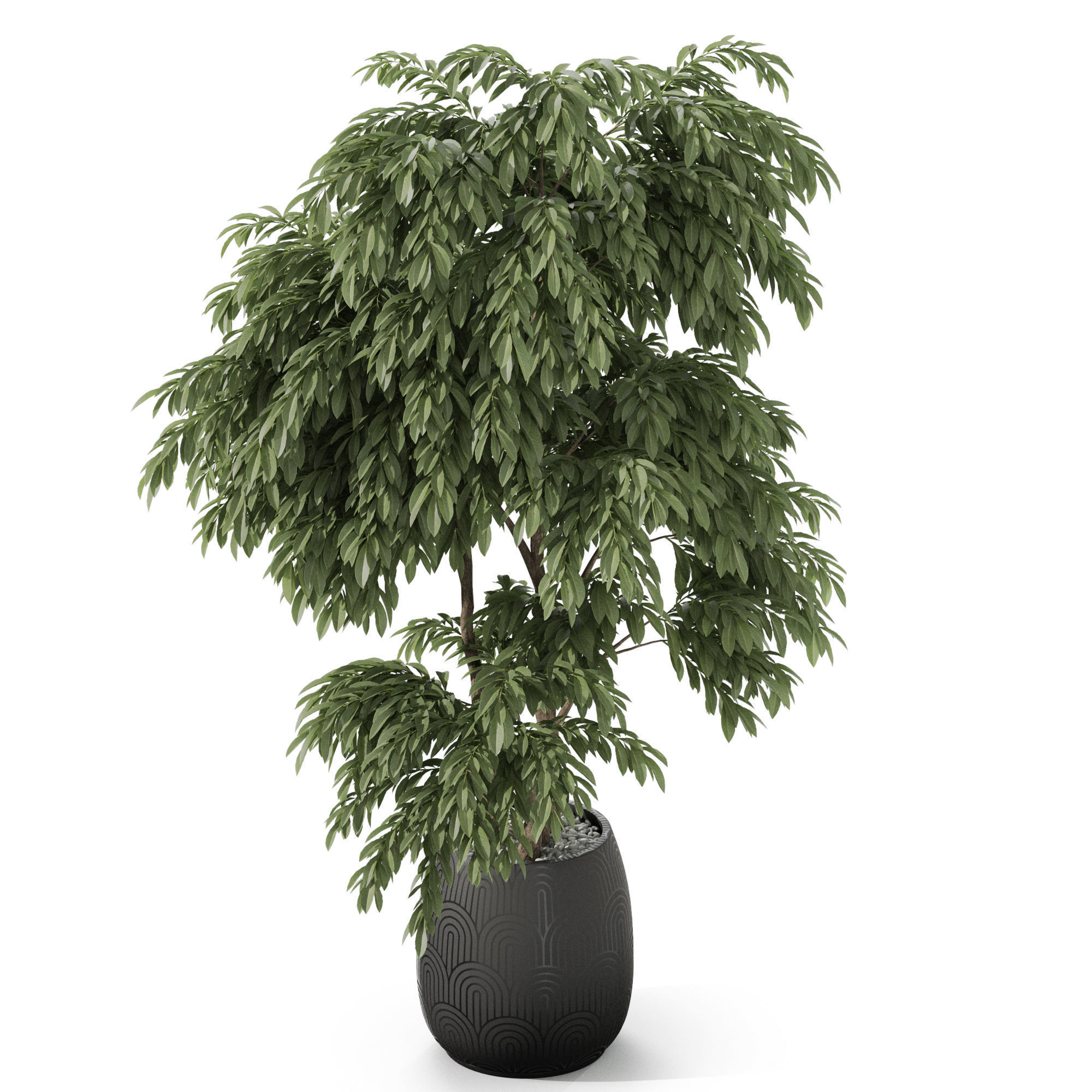 Plants collection 1160 3D model_3