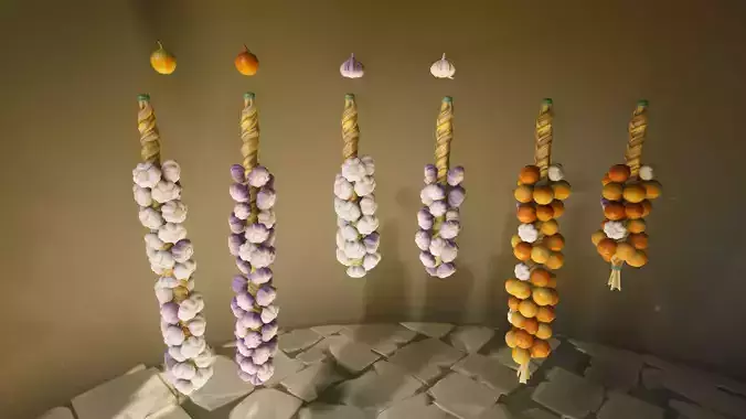 Stylized Food Garlic Onion