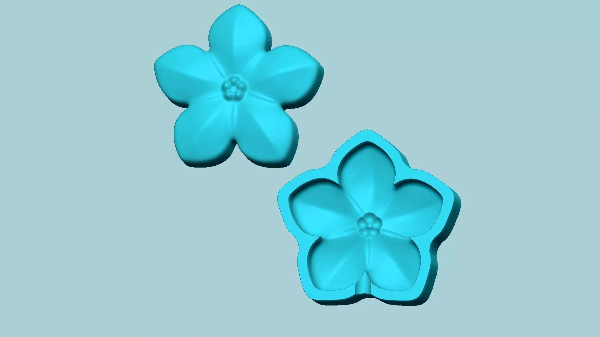 Forget-me-Not Flower Mold - Artificial EVA Molding 3D print model_0