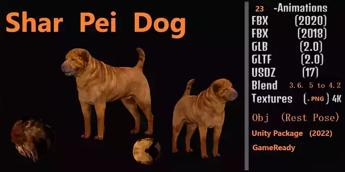 Shar Pei Dog Low-poly 3D model