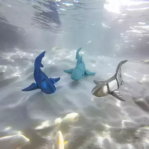 Shark Flexy 3D print model