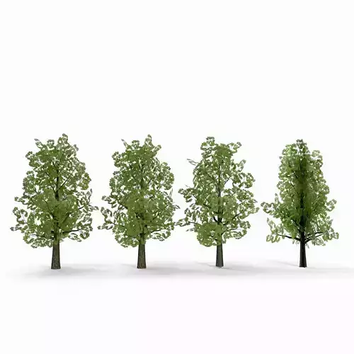 Horsechestnut Low Poly V1 Low-poly 3D model