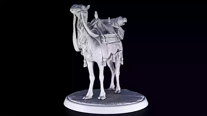 camel animal