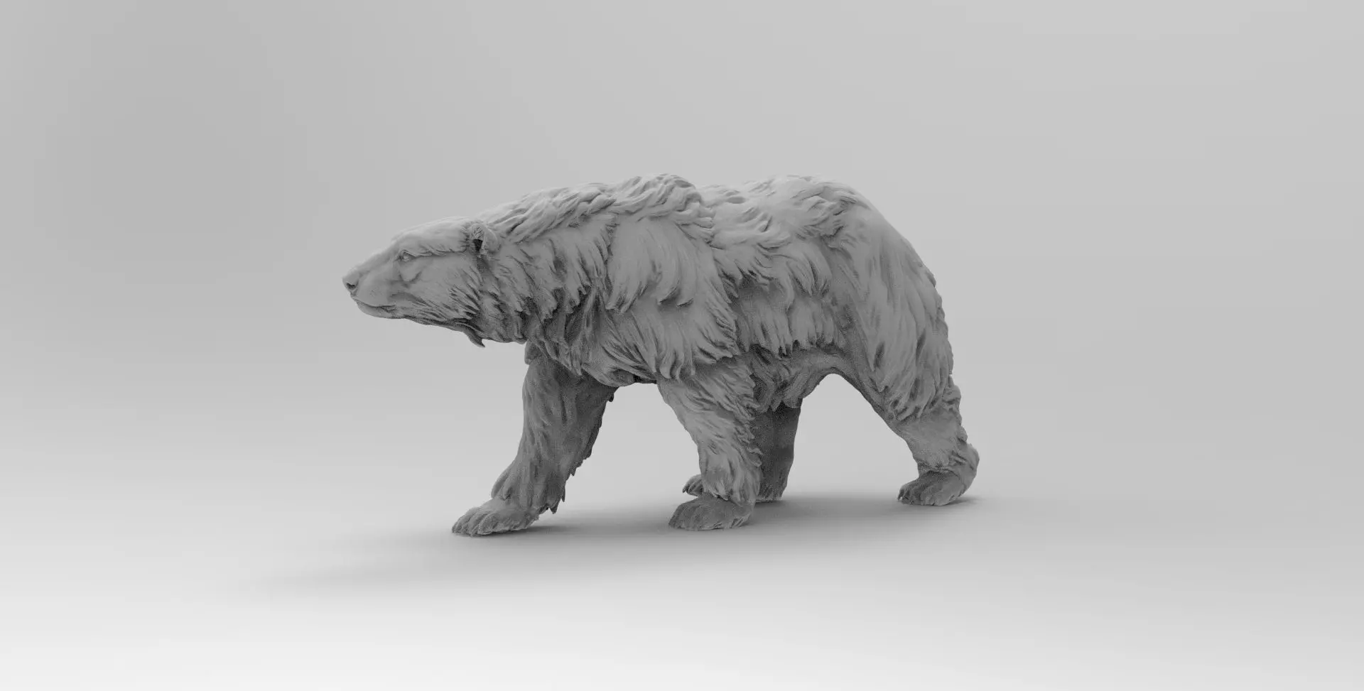 Bear - 3D model_0