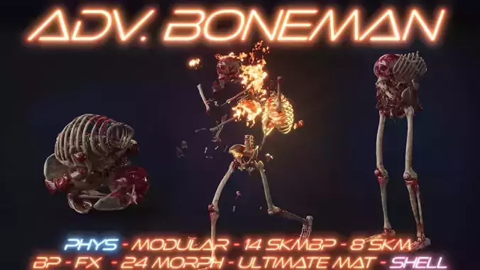 Advanced Boneman 3D model