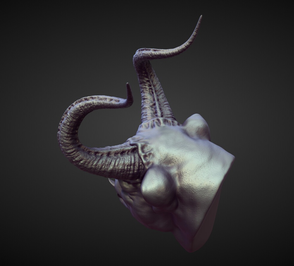 HEAD58 high poly sculpt 3D model_3