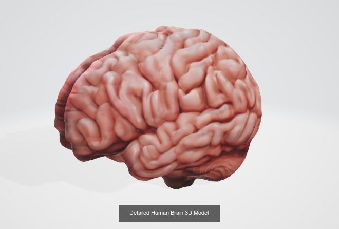 Big Collection of Varied Objects More than 50 plus Itens _48