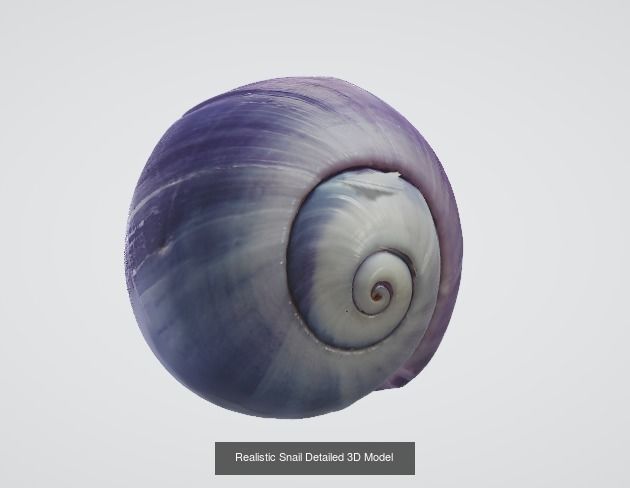 Big Collection of Varied Objects More than 50 plus Itens _39