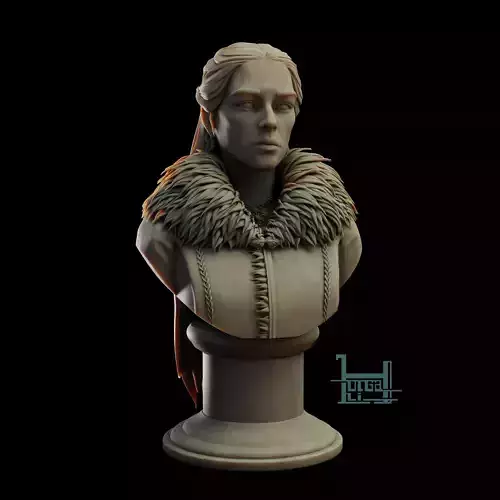 Rhaenyra Targaryen Fanart Bust 3D print model